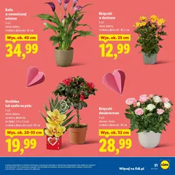 Cyklamen lub azalia w ceramice