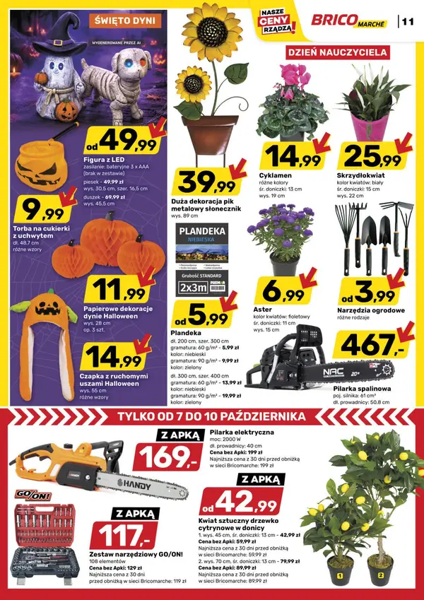 Strona 11 gazetki Bricomarche