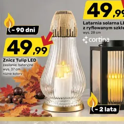 Znicz Tulip LED