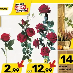 Róża welurowa gałązka