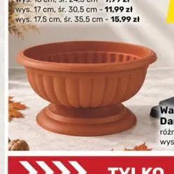 Misa cmentarna Gracja