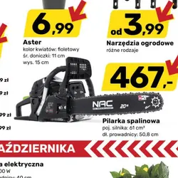 Pilarka spalinowa