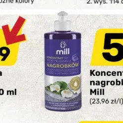 Koncentrat do mycia nagrobków 250 ml