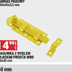 ZASUWKA Z RYGLEM PŁASKIM PROSTA W80 80x30 mm