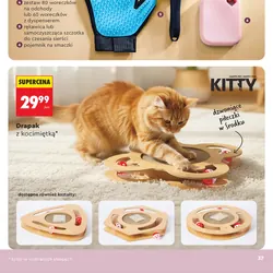 Drapak z kocimiętką