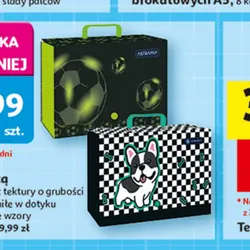 Teczka z rączką