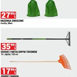 GRABIE Z METALOWYM TRZONEM