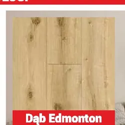 PANEL WINYLOWY SPC DĄB EDMONTON