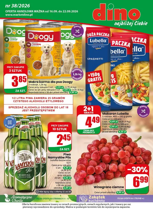 Strona 1 gazetki Dino