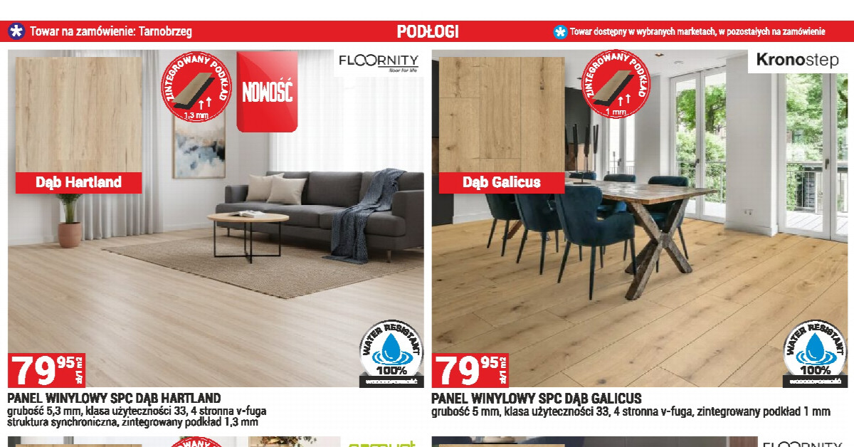 Nie uwierzysz, że są tak tanie: Dąb Fawn Apollo za 29,95 zł — najlepsza oferta marca?