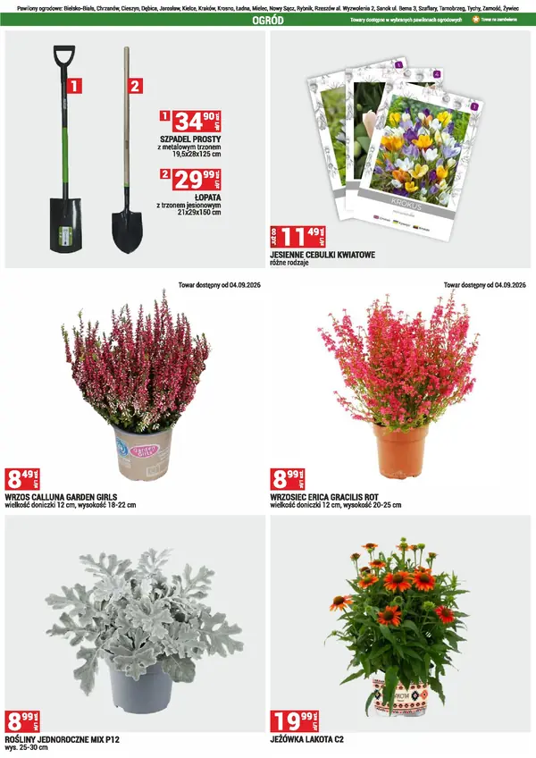 Strona 24 gazetki Mercury Market