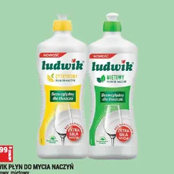 Ludwik płyn do mycia naczyń