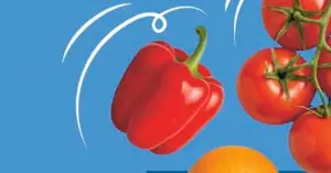 Mega okazja: Air fryer CARREFOUR HOME za jedyne 99,99 zł! Tylko teraz w gazetce