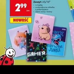 Zeszyt A5/16