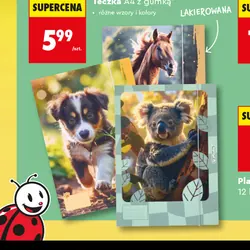 Teczka A4 z gumką