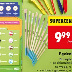 Pędzelki