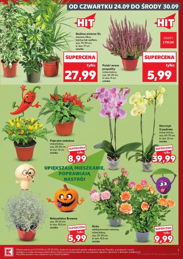 Strona 7 gazetki Kaufland