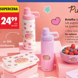 Butelka termiczna lub piętrowy pojemnik na żywność Pusheen