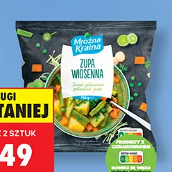 Zupa wiosenna Mroźna Kraina