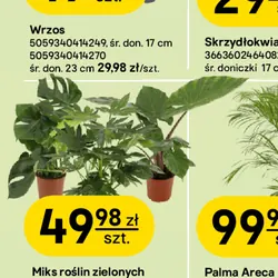 Miks roślin zielonych