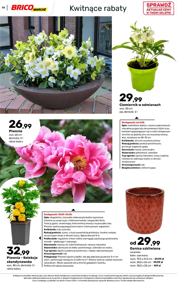 Strona 56 gazetki Bricomarche