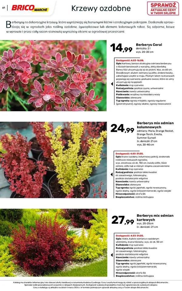 Strona 61 gazetki Bricomarche