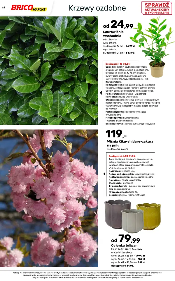 Strona 62 gazetki Bricomarche