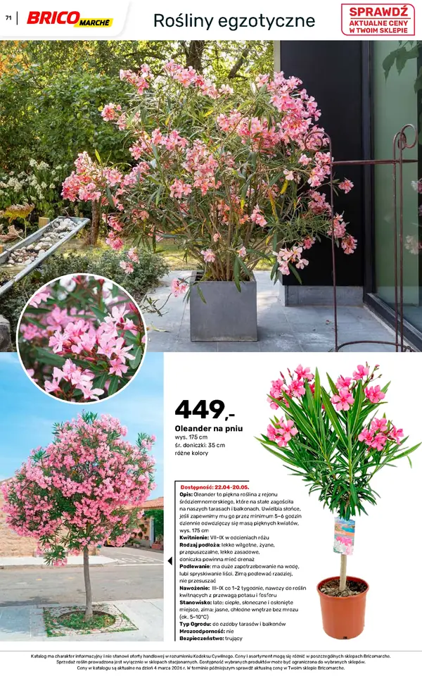 Strona 71 gazetki Bricomarche