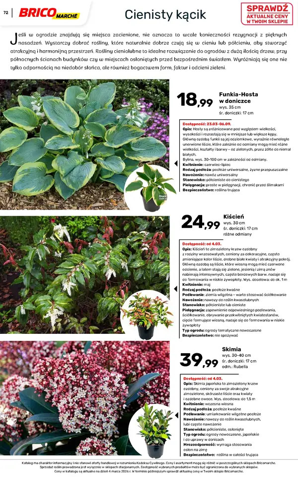 Strona 72 gazetki Bricomarche
