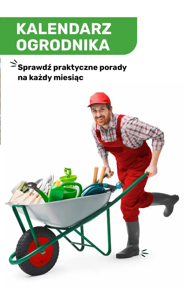 Strona 121 gazetki Bricomarche