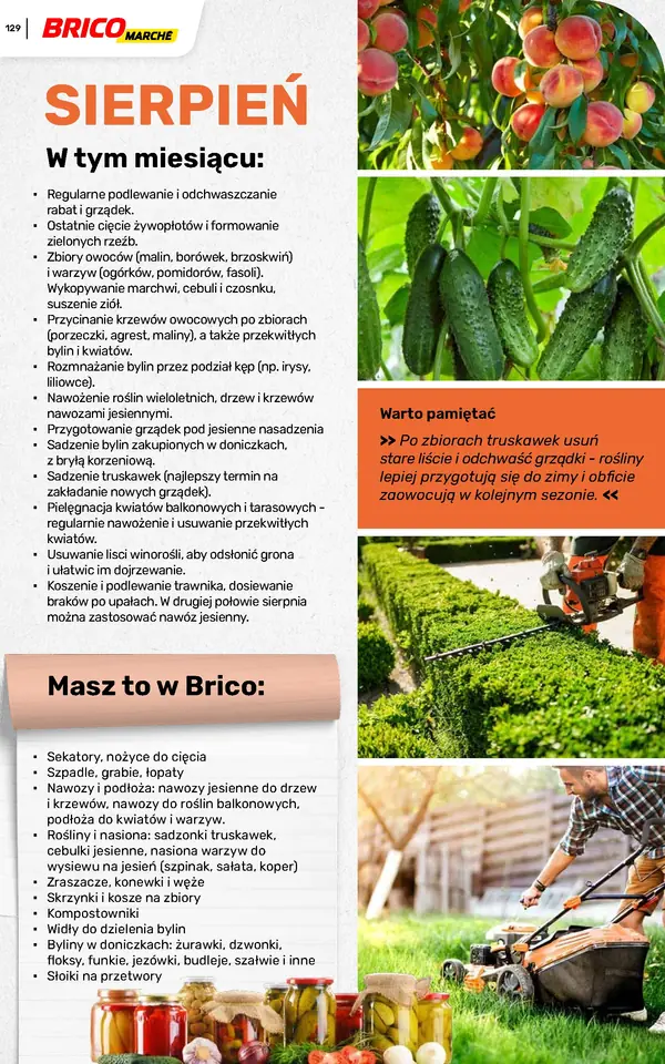 Strona 129 gazetki Bricomarche