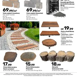 Visio wapień muszlowy