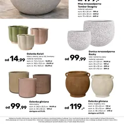 Donica mrozoodporna Rocky