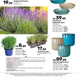 Podstawka Sottovaso Capri