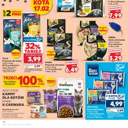 FELIX Przysmak dla kotów