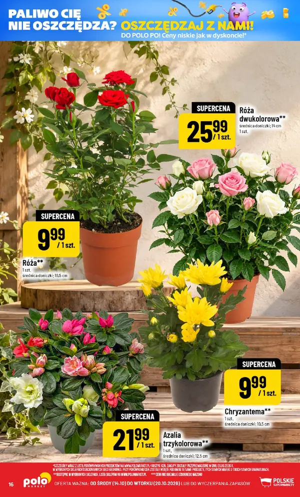 Strona 16 gazetki POLOmarket
