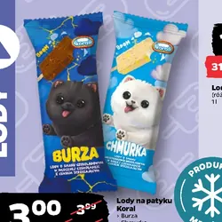 Lody na patyku Koral