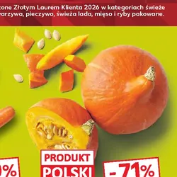 Polska dynia hokkaido