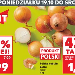 Polska cebula żółta