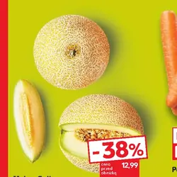 Melon Galia