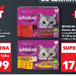 Whiskas Karma dla kotów