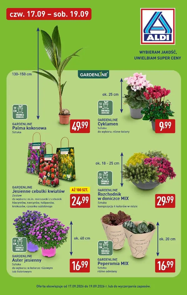 Strona 33 gazetki Aldi