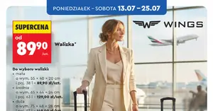 Wakacyjna promocja: Duża walizka w Biedronce za 149 zł — znikają w oczach!