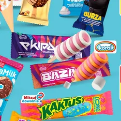 Lody na patyku, kanapka lodowa EKIPA, BAZA