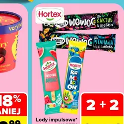 Lody impulsowe HORTEX