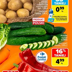 Polskie ogórki krótkie