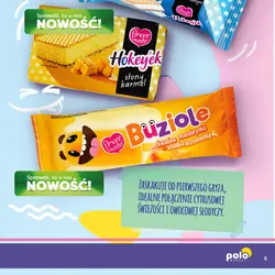 Lody Hokeyek słony karmel
