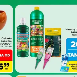 Nawozy do roślin pokojowych
