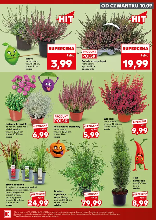 Strona 7 gazetki Kaufland