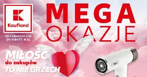 Hit tygodnia w Kauflandzie: SHARK 3w1 suszarka za 479 zł — warto kupić przed wyprzedaniem?